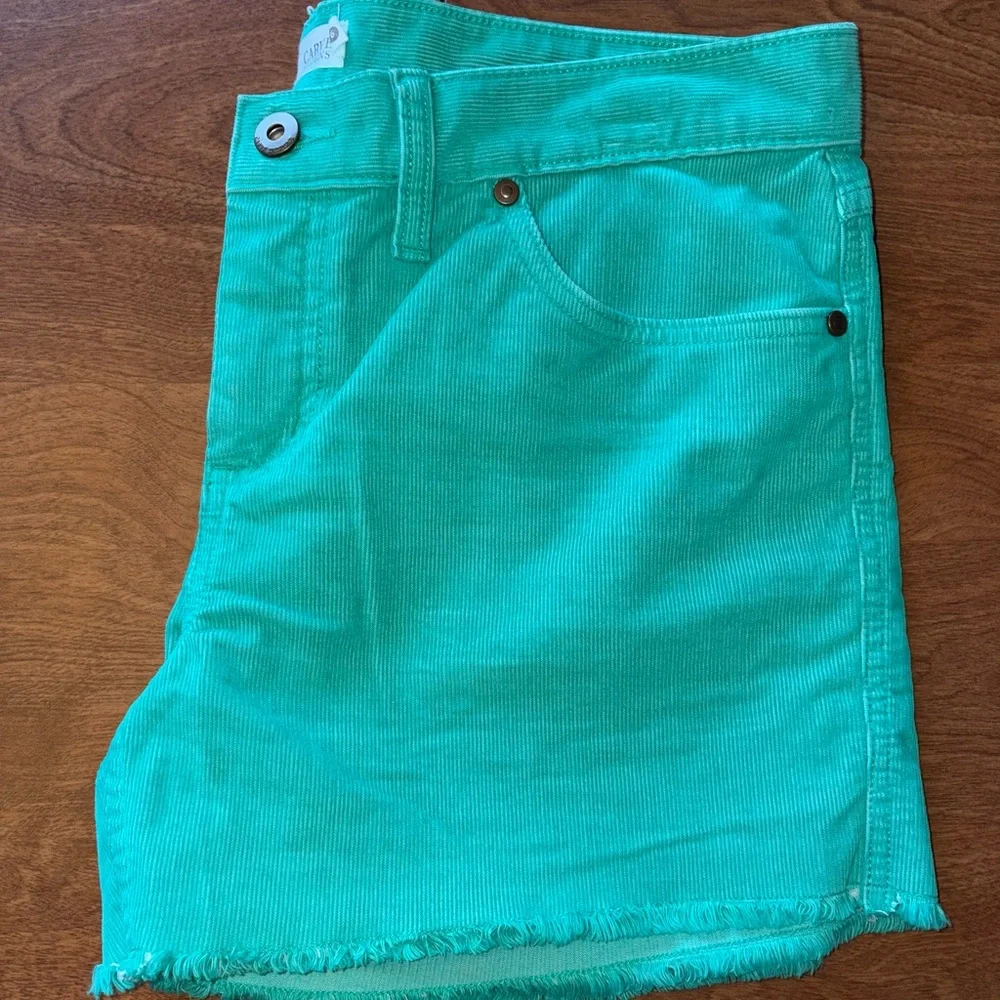 Carve Designs Teal Green Frayed-Hem Jean Shorts - Picture 7 of 7